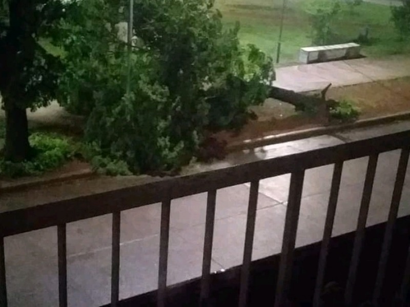 El fuerte temporal provoc destrozos en Olavarra